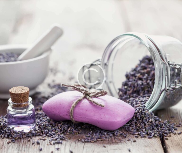 Read more about the article Lavender, Berry and Honey Equals Health